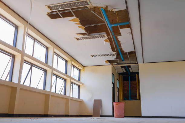 Best 24/7 water damage repair  in Elmwood Place, OH
