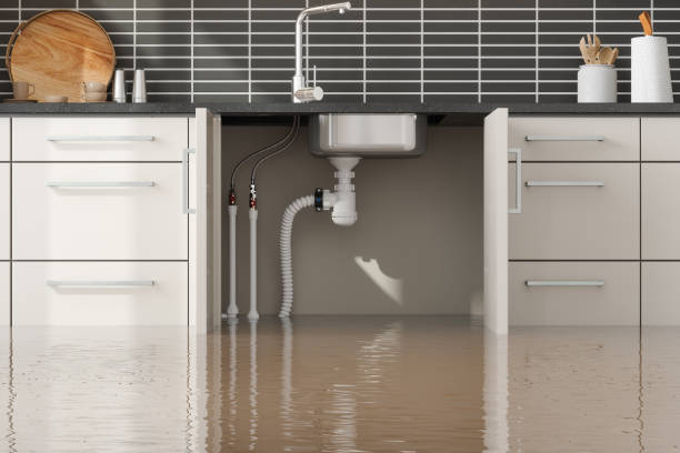 Best Emergency water damage restoration  in Elmwood Place, OH