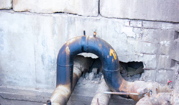 Best Carpet water damage restoration  in Elmwood Place, OH