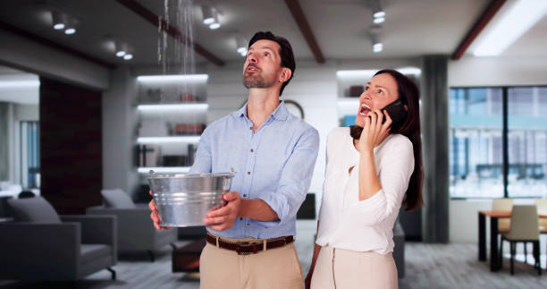 Best Basement water damage restoration  in Elmwood Place, OH